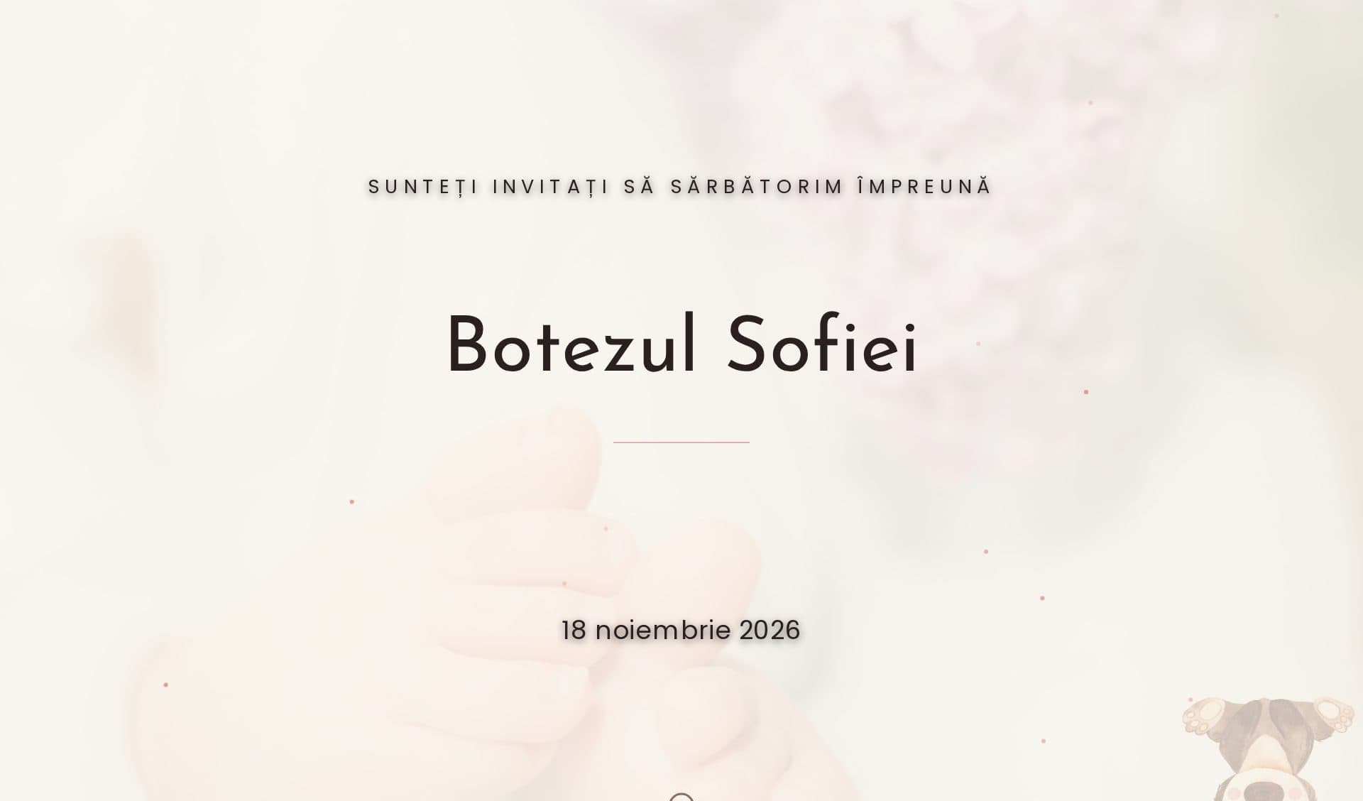 Model invitație Circus Fun