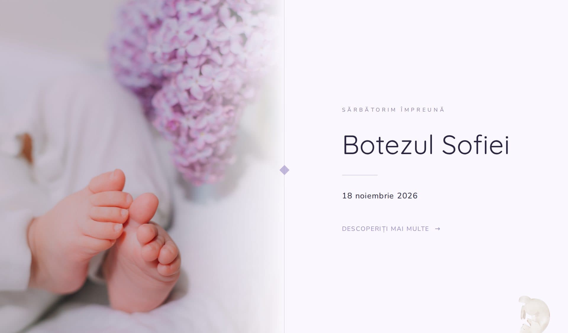 Model invitație Lavender Bunny