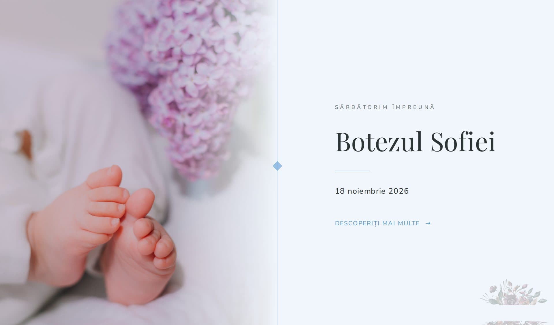 Model invitație Little Prince